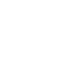 Corporate services icon