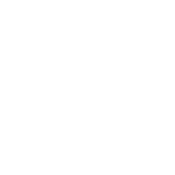 Safe and secure icon